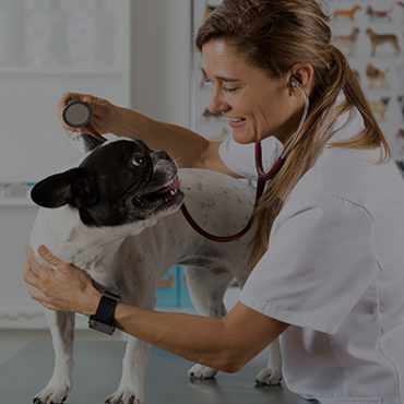 Nearby Pet Friendly Hospitals in Lisle Nearby Pet Friendly Hospitals in Lisle